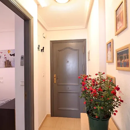 Апартаменты Azul Торевьиа